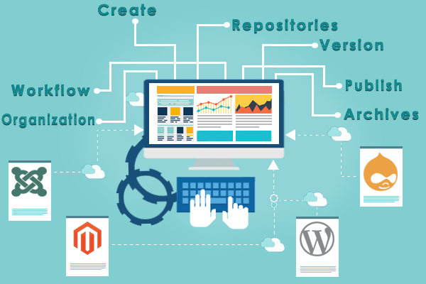 Content Management System Dehradun